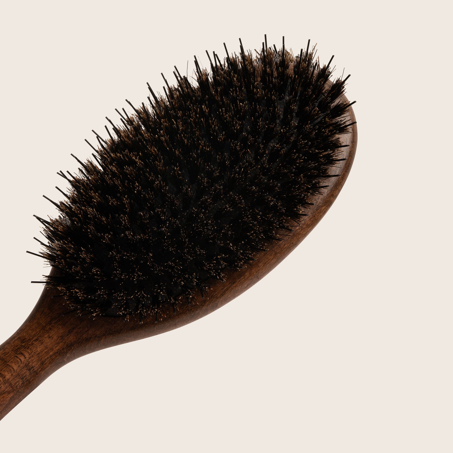 Oval Boar Bristle Brush | Oval Hair Brush | Gima Hair